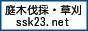 庭木伐採、立木の枝落し、草刈りの貴乃園 / 即日・当日の出張もご相談ください。